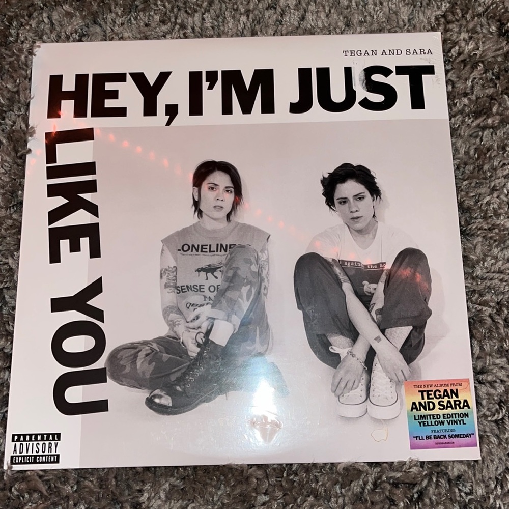 Hey, i’m just like you Tegan and sara Vinyl limited edition